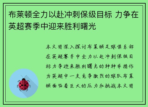 布莱顿全力以赴冲刺保级目标 力争在英超赛季中迎来胜利曙光