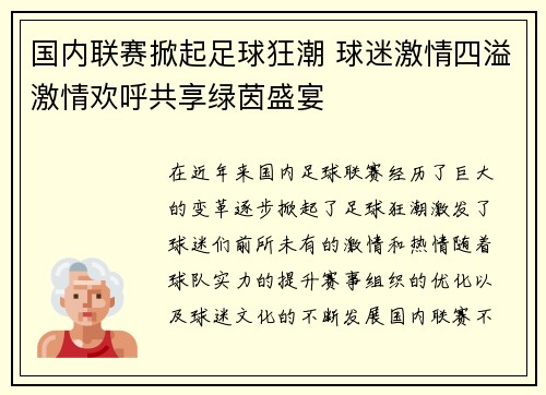 国内联赛掀起足球狂潮 球迷激情四溢激情欢呼共享绿茵盛宴