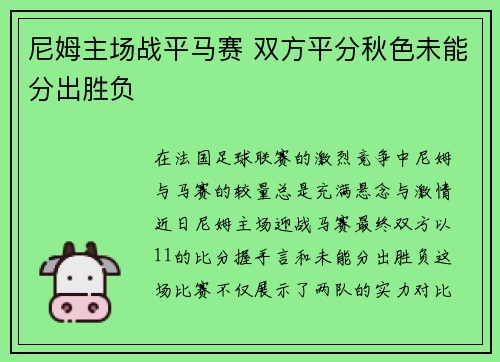 尼姆主场战平马赛 双方平分秋色未能分出胜负