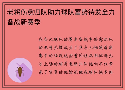 老将伤愈归队助力球队蓄势待发全力备战新赛季